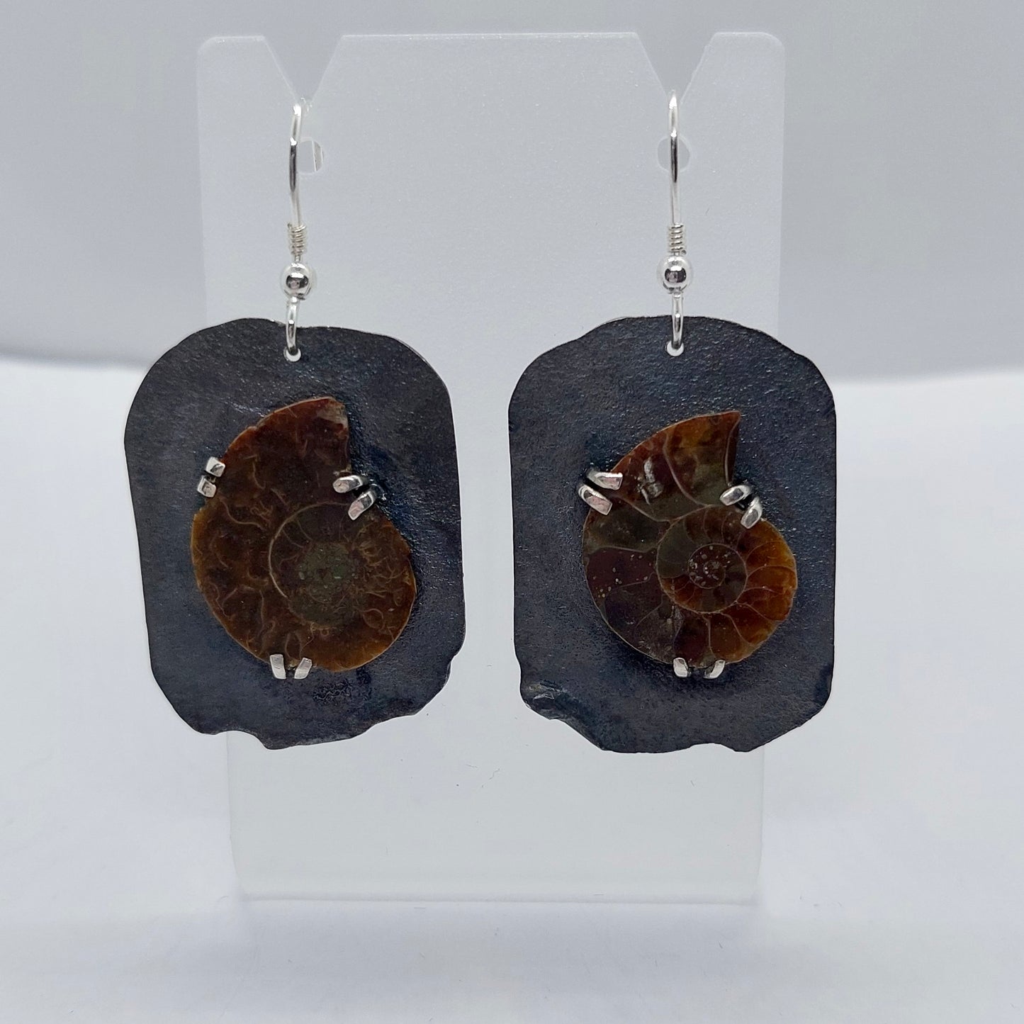 Ammonite and Sterling Silver Earrings