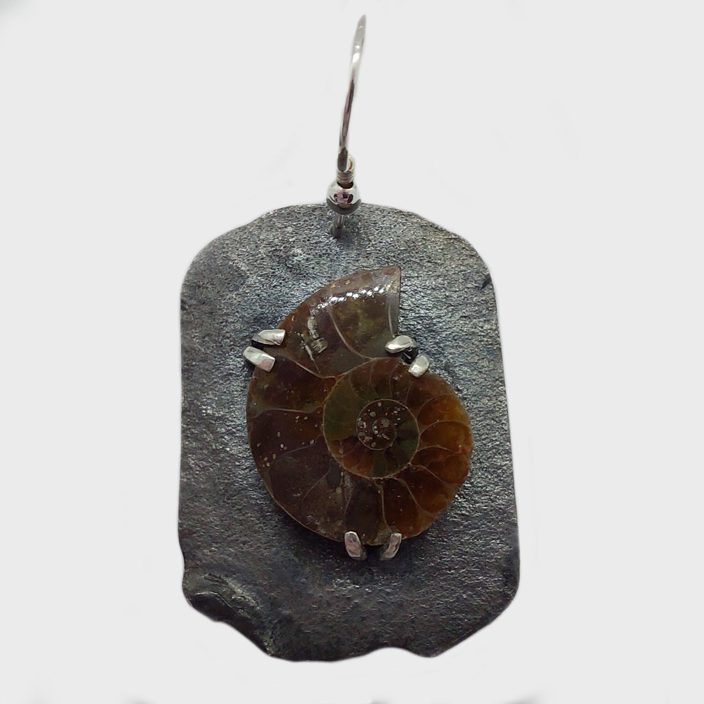 Ammonite and Sterling Silver Earrings